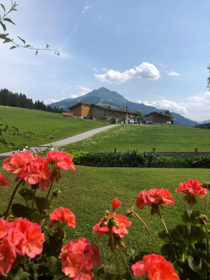 Appartement Kaiserluft Sankt Johann in Tirol Dış mekan fotoğraf